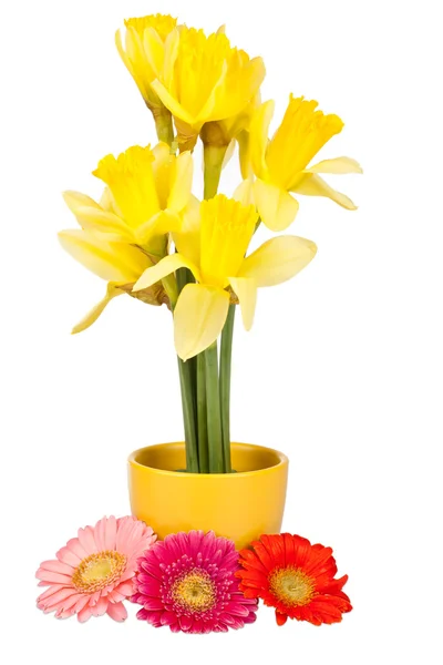 Húsvéti dekoráció, nárcisz és Gerbera — Stock Fotó