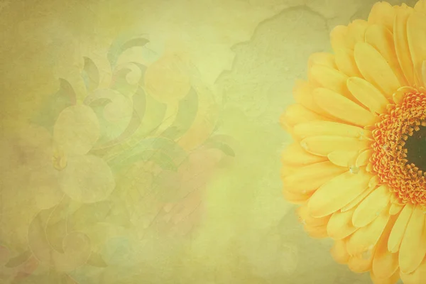 Papatya çiçekleri antika arka plan — Stok fotoğraf