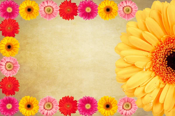 Daisy flowers Vintage background — Stock Photo, Image