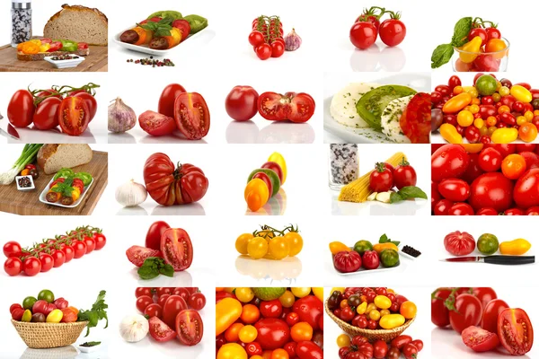 stock image Collage of many different varieties of organic tomatoes