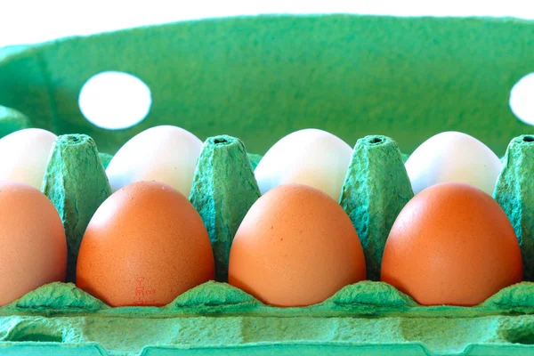 Brune og hvite egg i en kartong – stockfoto