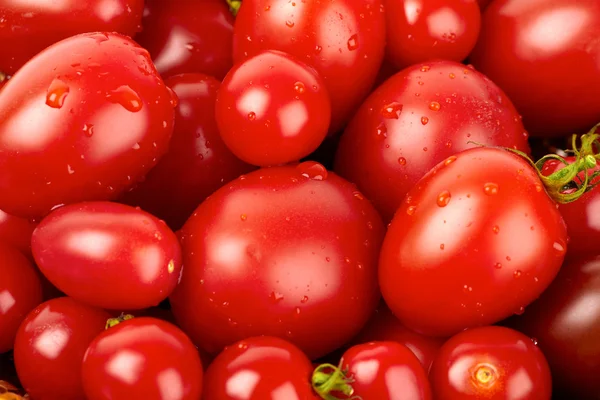 Stock image Fresh organic tomato with water droplets