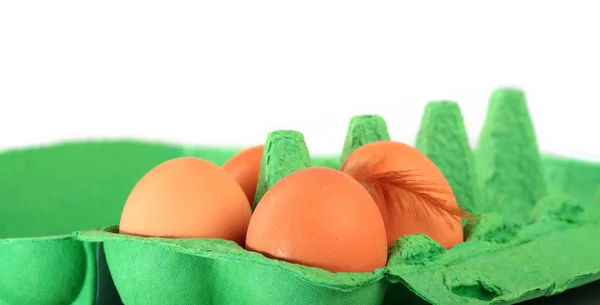 Brown chicken eggs in a carton with down feather — Stock Photo, Image