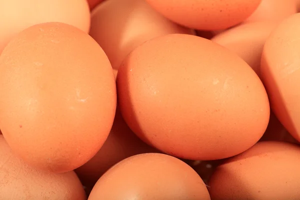 Gros plan sur les œufs bruns — Photo