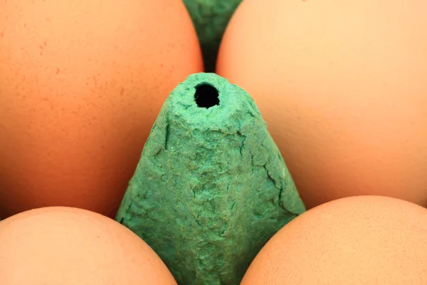 Brown chicken eggs in a carton - Close-up — Stock Photo, Image