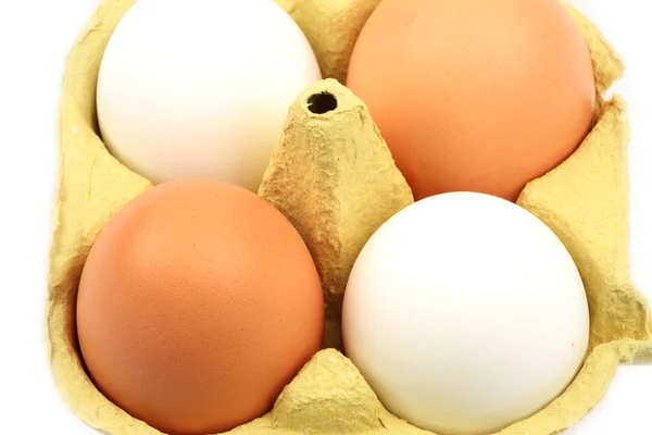 Quatre œufs dans un carton - Gros plan — Photo