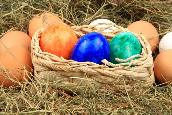 Cesta com ovos de Páscoa coloridos no feno — Fotografia de Stock
