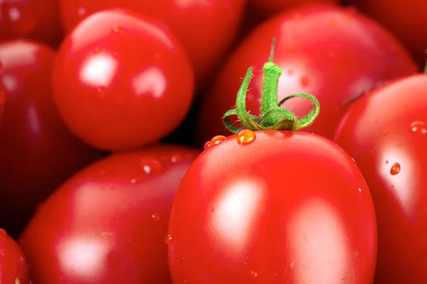 Primo piano di pomodori roma freschi con goccioline d'acqua coperte — Foto Stock