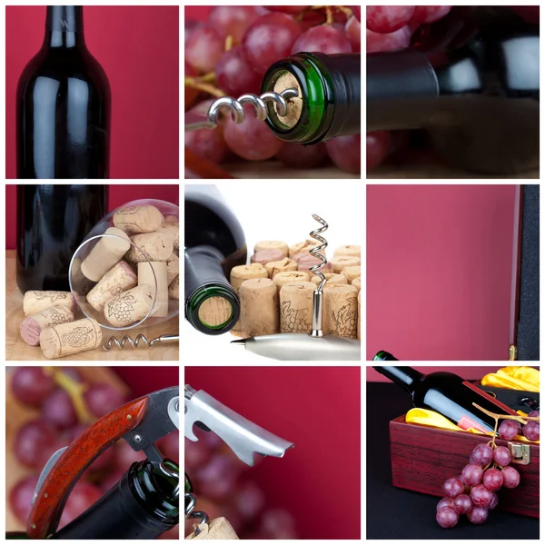 Fotografické koláže hroznů a vína příbory — Stock fotografie
