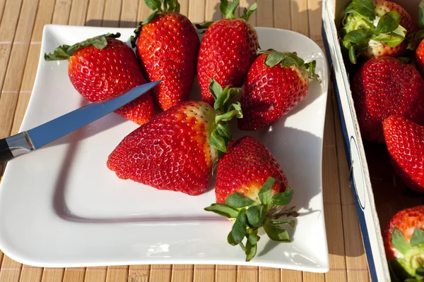 Erdbeeren auf einem Teller — Stockfoto