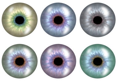 Color versions of pupil.The set. clipart