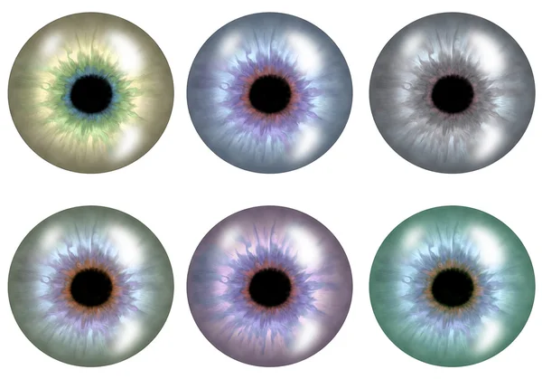 Versions couleur de la pupille. . Photo De Stock