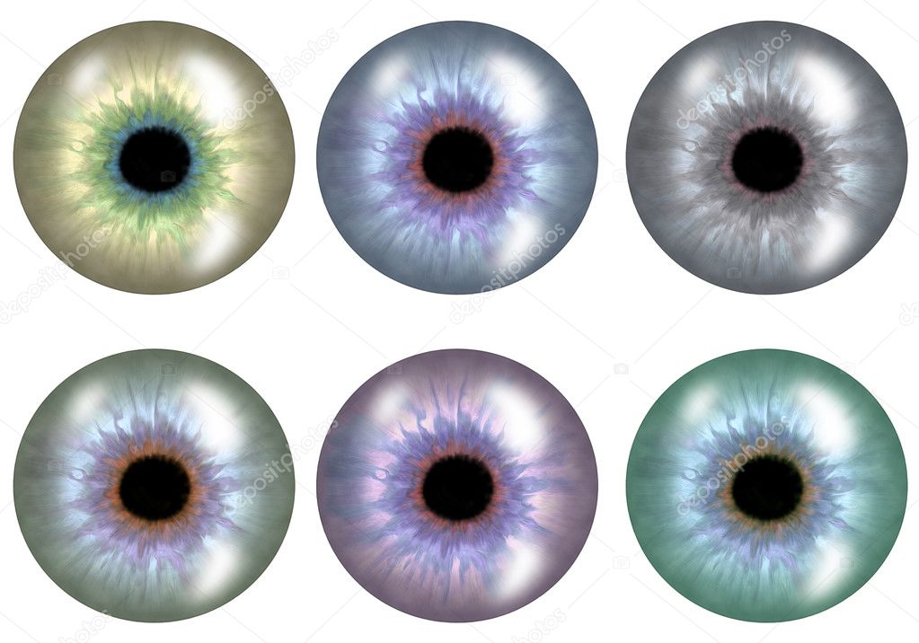 Color versions of pupil.The set.