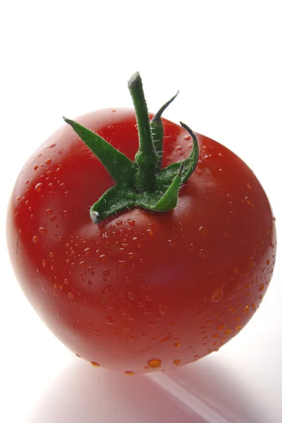 Tuore tomaatti — kuvapankkivalokuva