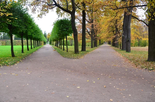 Path way in the park