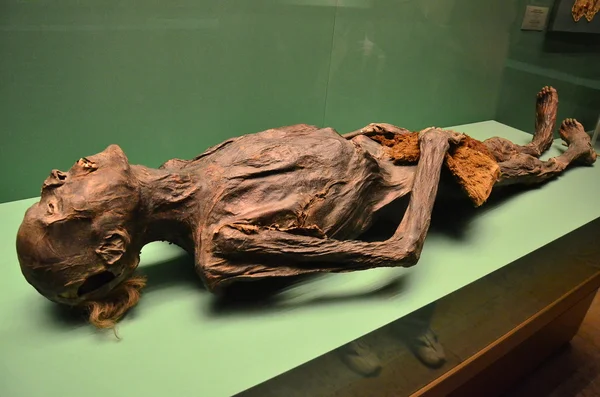 Человеческая мумия — стоковое фото