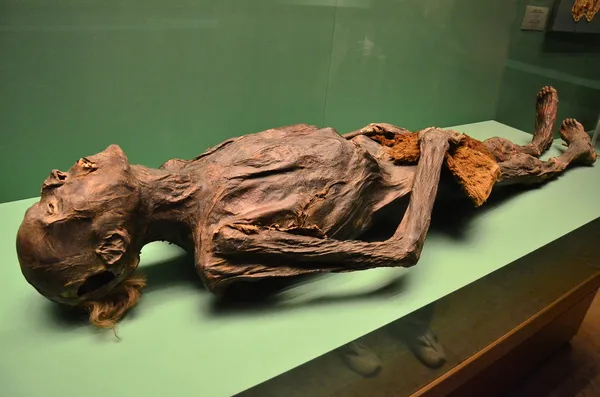 The Human Mummy Stock Photo
