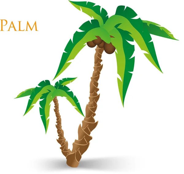 Palmo tropicale in frantumatore marino e luce solare (illustrazione vettoriale ) — Vettoriale Stock