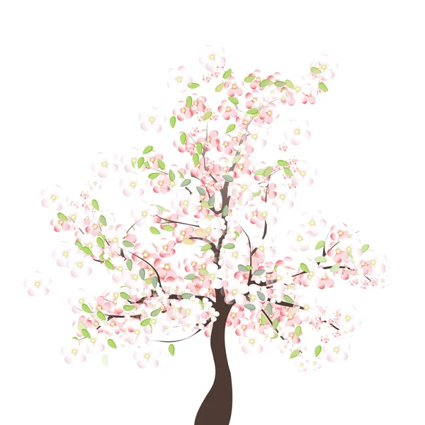 Primavera árvore de maçã — Vetor de Stock