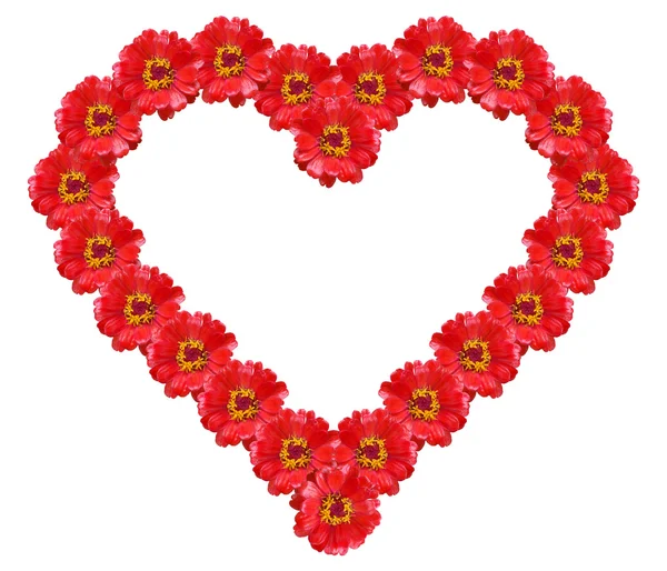 stock image Flower heart