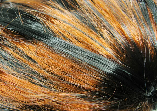 Markera hår svart och gingery textur bakgrund — Stockfoto