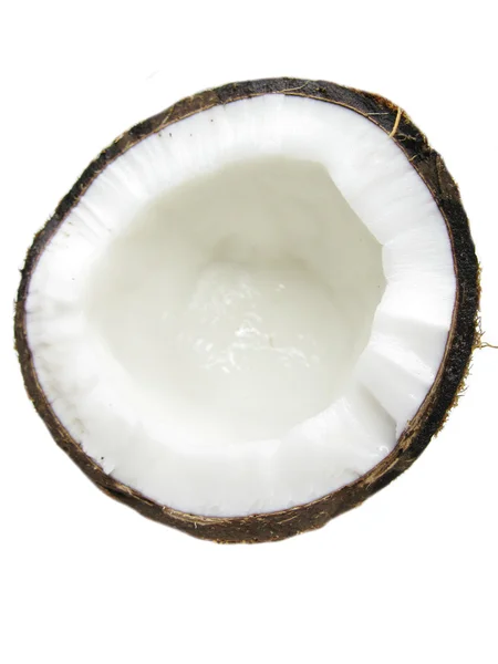 Stock image Coconut nut cut isolated