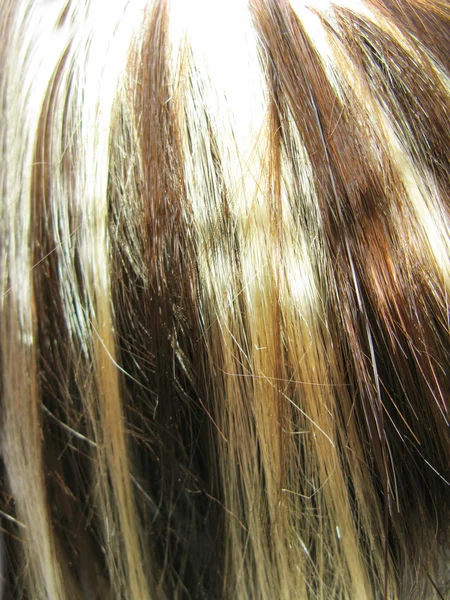 머리카락 질감 배경 강조 — 스톡 사진