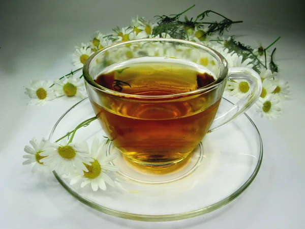 Floral kruiden thee met madeliefjebloemen — Stockfoto