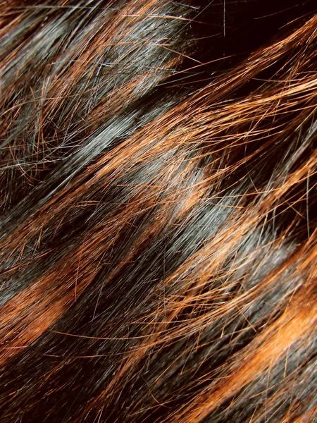Color negro oscuro resaltan fondo textura del cabello — Foto de Stock