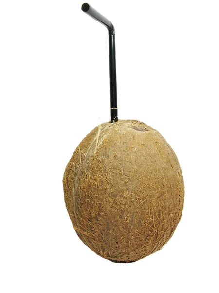 코코넛 음료 열 대 칵테일 — 스톡 사진