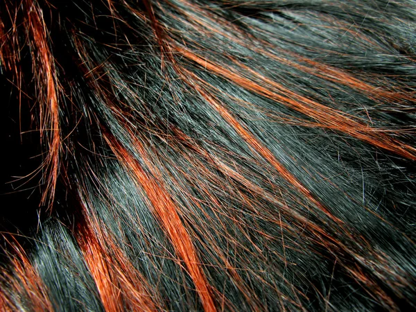 Fondo de textura de pelo oscuro resaltado — Foto de Stock
