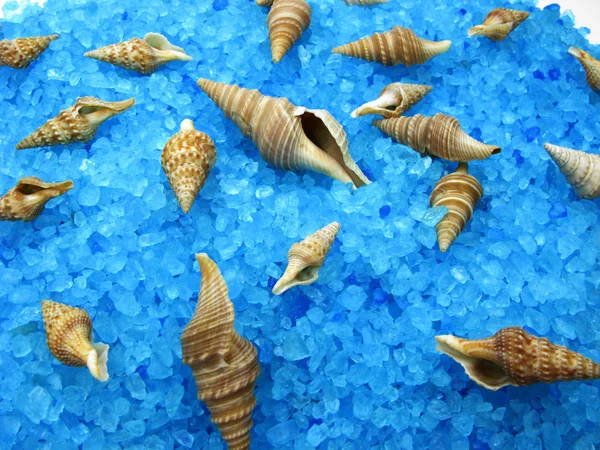 Spa sea shells and bathing salt — Stock Photo, Image