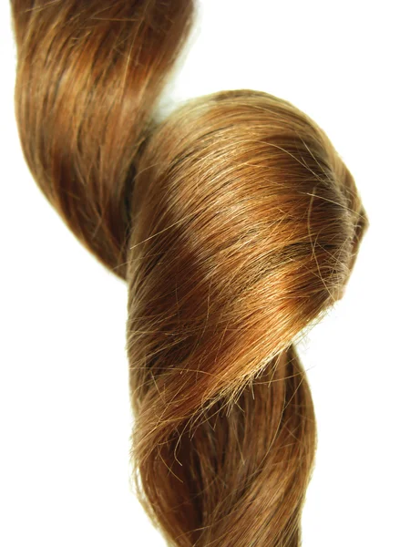 Fényes sötét gingery haj curl — Stock Fotó