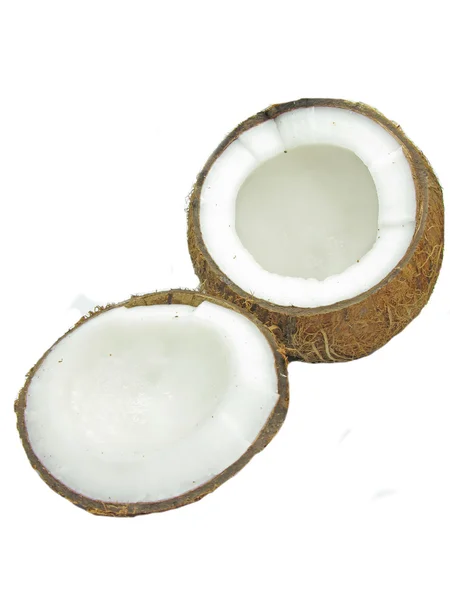 Tuerca de coco aislada — Foto de Stock