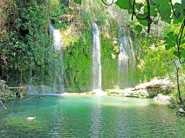 Cachoeira e lagoa em floresta profunda — Fotografia de Stock