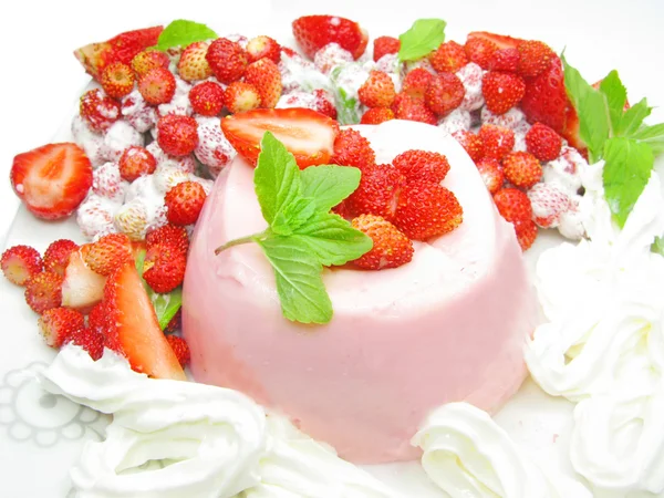 Fruit dessert met pudding — Stockfoto