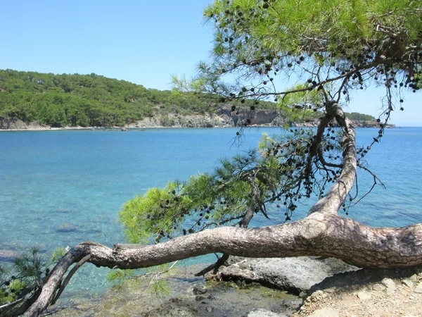 stock image Mediterranean sea ladscape