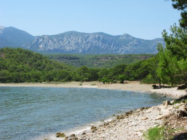 plaj manzara phaselis koyu