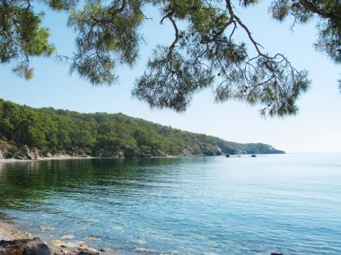 plaj manzara phaselis Türkiye