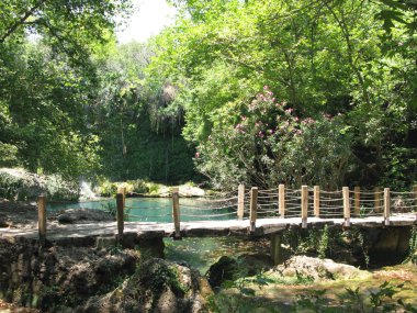 Bridge in tropical park turkey clipart