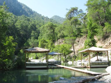 Cafe near water pools in national park turkey clipart