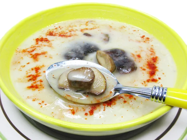 Яскравий вершковий суп з грибами — стокове фото