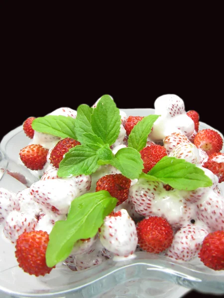 Wild strawberry frukt dessert — Stockfoto