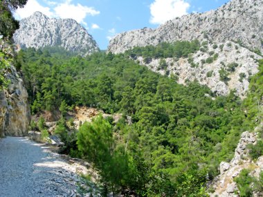 yol Canyon güzel manzara