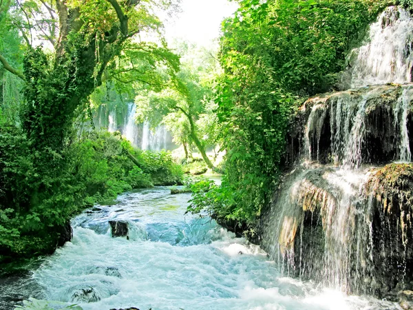 Каскадная индейка с водопадом — стоковое фото