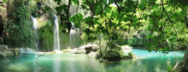 Beautiful waterfall in forest panorama clipart