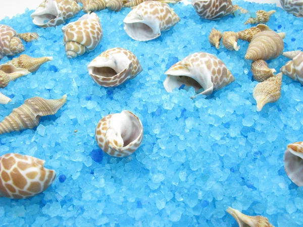 Spa conchas do mar e sal — Fotografia de Stock