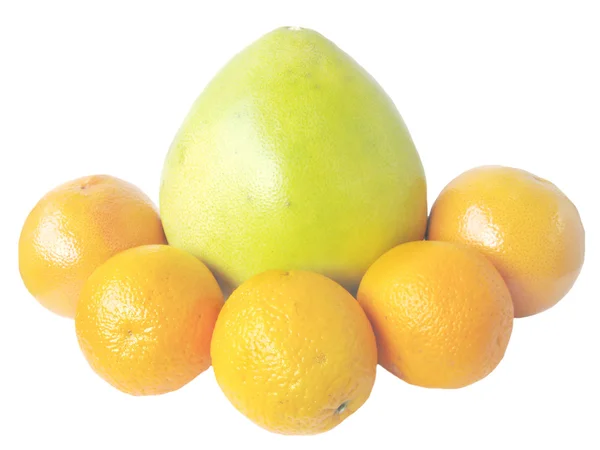 Pomelo and oranges — Stock Photo, Image