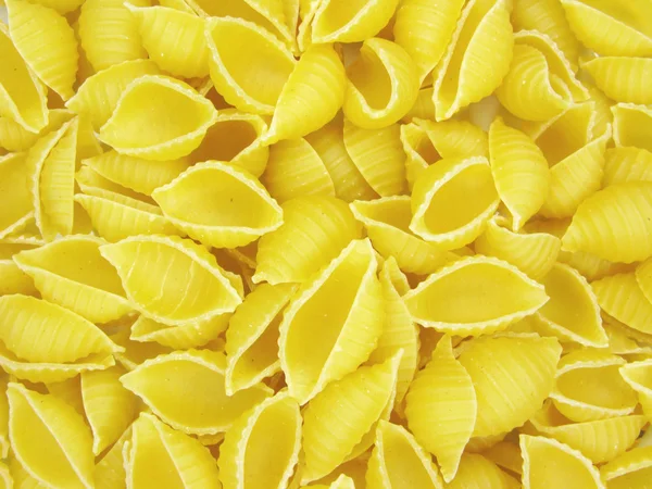 Spaghetti a forma di conchiglia — Foto Stock
