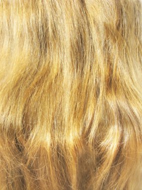 Blond hair closeup clipart